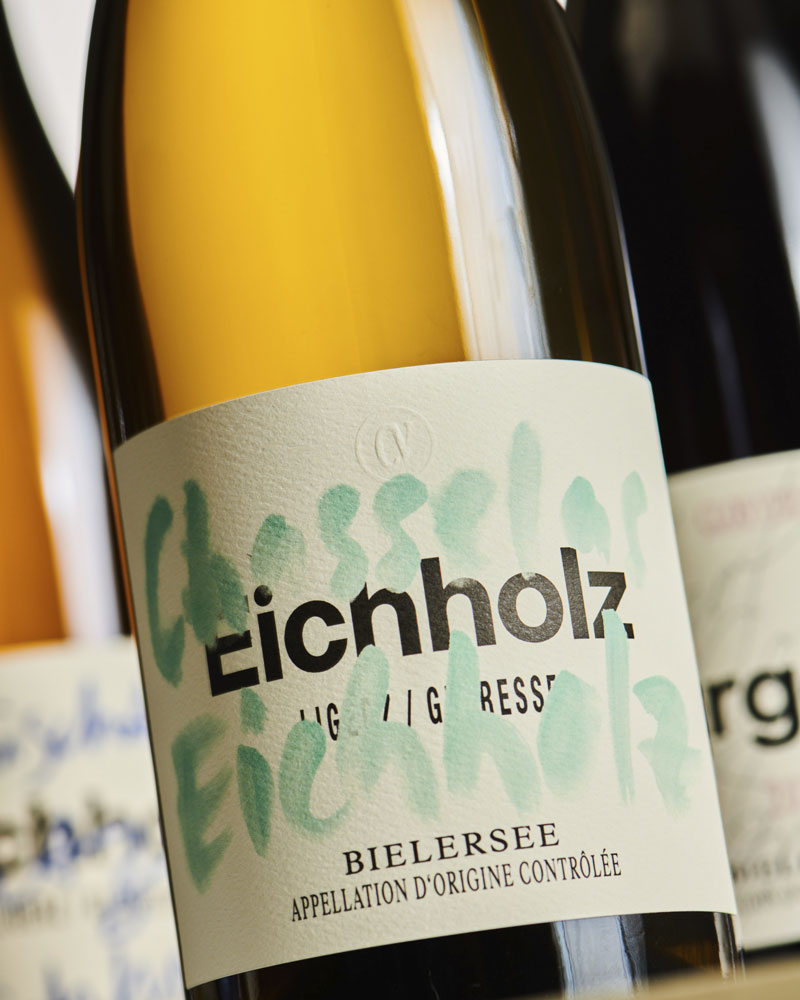 Chasselas Eichholz 2025